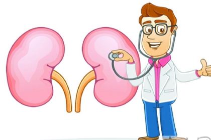 你的腎臟健康嗎?研究表明補(bǔ)硒對(duì)腎臟有保護(hù)作用