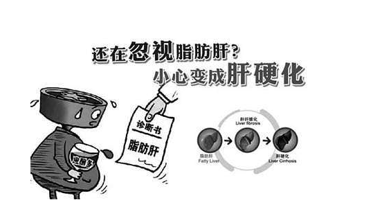 脂肪肝被稱為“隱蔽性肝硬化”,適當(dāng)補硒可降低危害性