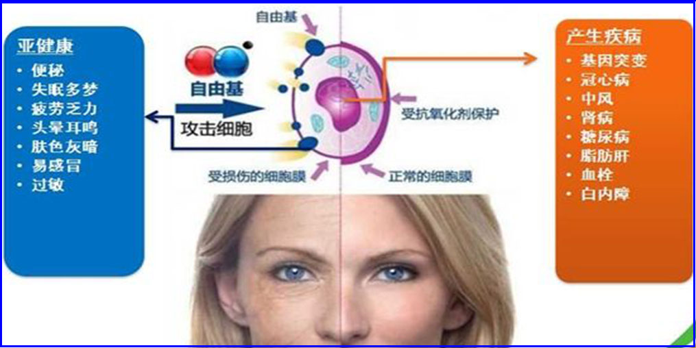 自由基是“百病之源”？硒元素可清除自由基