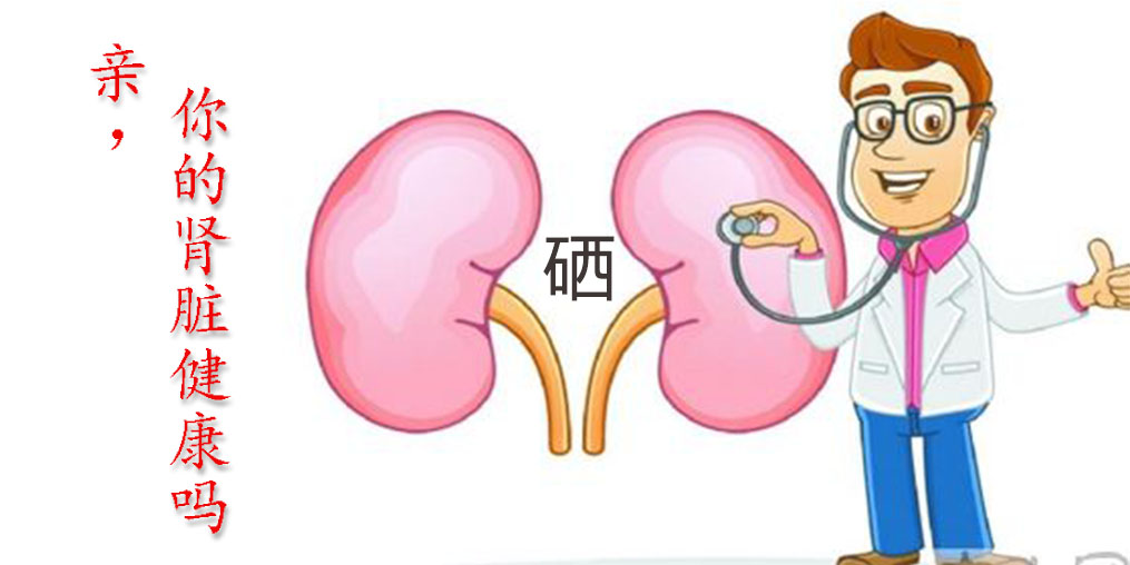 世界腎臟日|關(guān)愛腎臟健康，從補(bǔ)硒開始