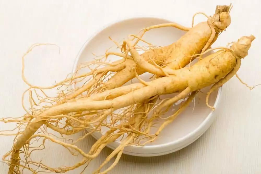 秋季養(yǎng)肺潤(rùn)肺，能吃人參皂苷嗎？