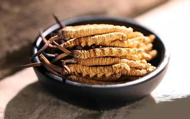 冬蟲夏草為什么得到很多人的認(rèn)可？
