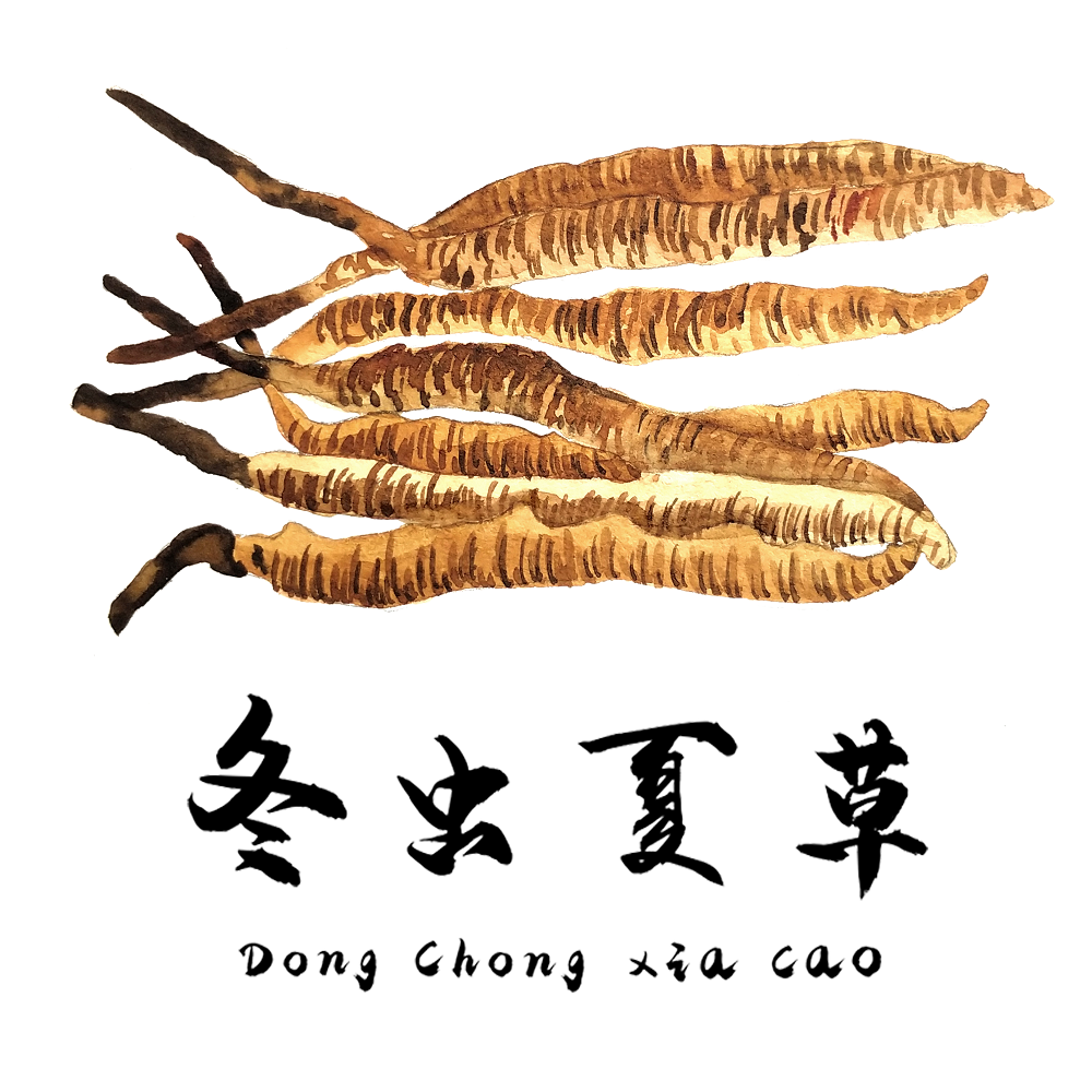 對于食道癌，冬蟲夏草有一定的改善作用