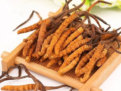 蟲草素？冬蟲夏草里的蟲草素是什么？