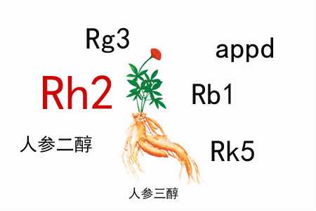 化療常見副作用有哪些？