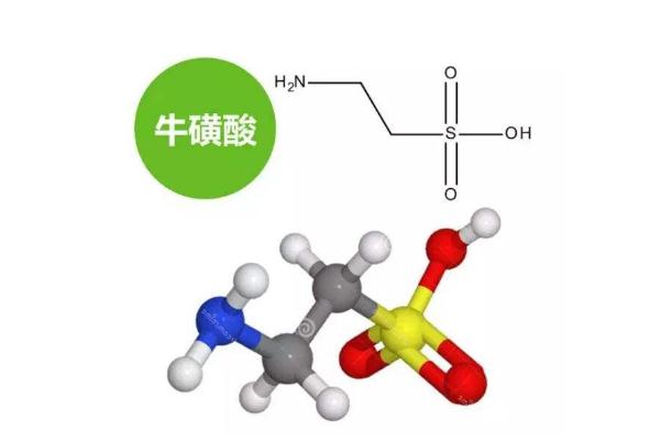 為什么牛磺酸能增強(qiáng)個(gè)人防護(hù)力？科學(xué)補(bǔ)充“牛磺酸”是關(guān)