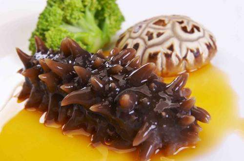 關(guān)于海參的冷知識，您知道嗎？