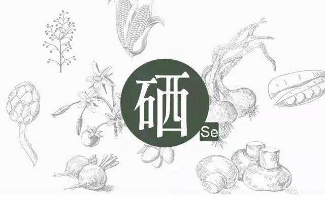 如何科學(xué)補(bǔ)硒？