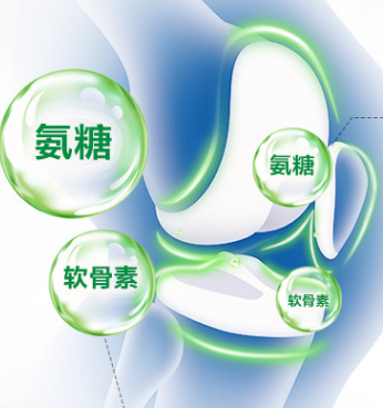 骨關(guān)節(jié)養(yǎng)護(hù)“潛力股”，氨糖的作用有什么？