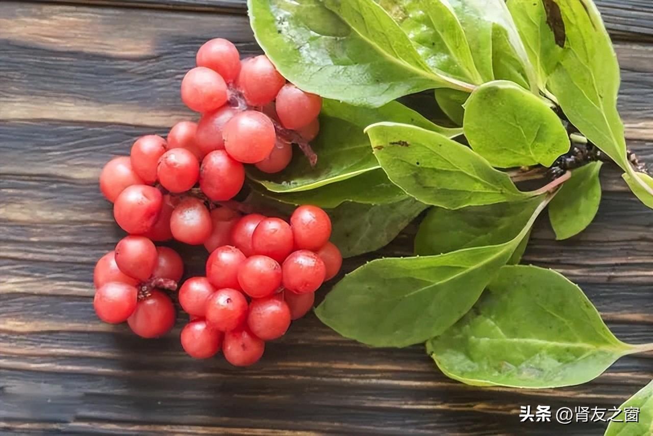 糖尿病與五味子之間有什么關(guān)系呢？